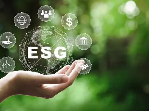 Ngành chăn nuôi tại Việt Nam: Muốn làm lớn, phải theo tiêu chuẩn lớn