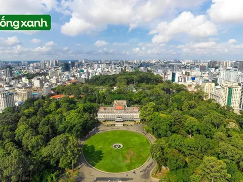 Những 'khu rừng' xanh mát quý như ngọc ở thành phố giàu có và đông dân nhất Việt Nam