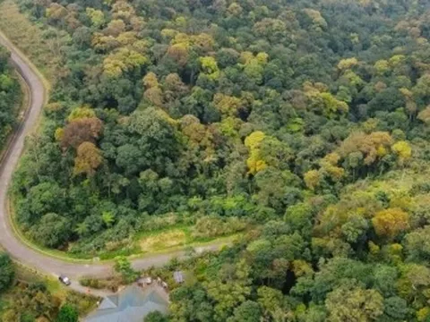 Phát triển thị trường tín chỉ carbon: Những yêu cầu đặt ra cho Việt Nam