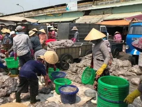 Hàn Quốc, Trung Quốc đua nhau săn lùng mặt hàng này của Việt Nam: Thu hơn 138 triệu USD kể từ đầu năm, nước ta đứng thứ 3 thế giới về xuất khẩu