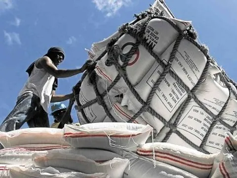 Lợi thế gạo Việt Nam tại quốc gia nhập khẩu gạo hàng đầu thế giới