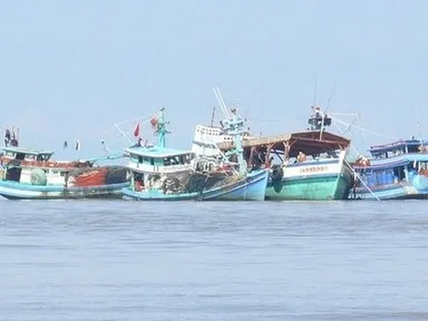 Cà Mau: Tiếp tục tăng cường chống khai thác IUU