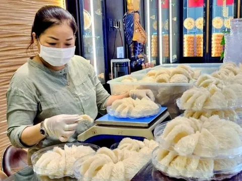 Tp.HCM: Đầu tư công nghệ để nghề nuôi chim yến phát triển bền vững