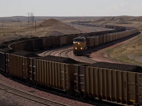 "Kim cương đen" của Việt Nam bỗng được hàng loạt quốc gia săn lùng với giá cực rẻ, xuất khẩu tăng mạnh hơn 10.000% chỉ trong 1 tháng