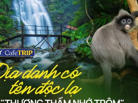 Không phải Cúc Phương, đây mới là vườn quốc gia view "triệu đô" cách không xa Hà Nội: Mỹ cảnh nguyên sơ, không khí mát như tủ kem, giá vào cửa rẻ bèo