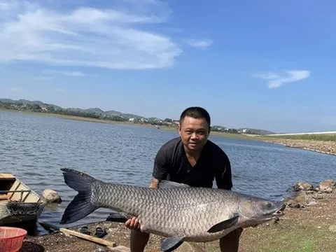 Câu được cá trắm đen 'khủng' hơn 36kg ở hồ nước đẹp nhất Buôn Ma Thuột