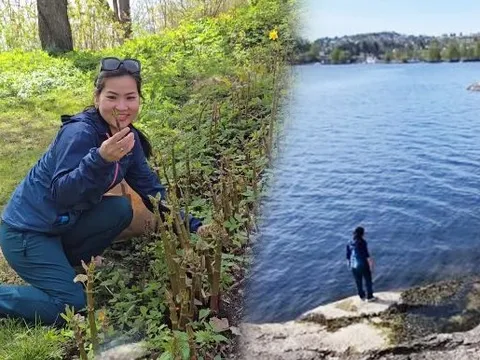 Sau 13 năm lập nghiệp ở Na Uy, mẹ Việt nghỉ hưu sớm, sáng ra đường hái rau dại, chiều về biển bắt vú nàng