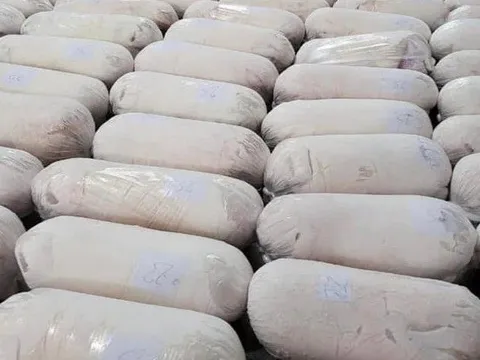 Giá heo hơi vào "sóng" tăng sắp chạm mốc 70.000 đồng/kg, nhiều "ông lớn" đua nhau tái đàn
