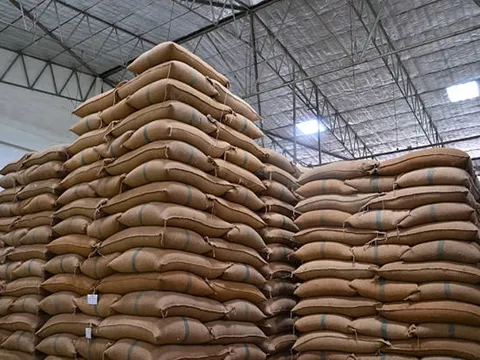 Ấn Độ cấm xuất khẩu, "hạt ngọc quý" của Việt Nam thành mặt hàng hot được nhiều nước săn đón - một quốc gia ở Đông Nam Á mạnh tay chi gần 1 tỷ USD nhập khẩu