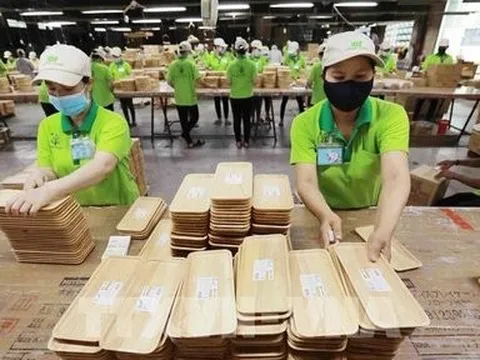 Doanh nghiệp ngành gỗ quý I/2024: Khởi đầu thuận lợi nhờ xuất khẩu khởi sắc