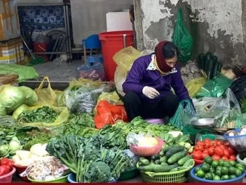 Giá rau củ, thực phẩm ở Hà Nội rục rịch tăng