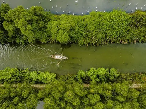 Phát hiện điểm du lịch sông nước độc lạ tại thành phố biển, du khách ca ngợi như một “miền Tây thu nhỏ"