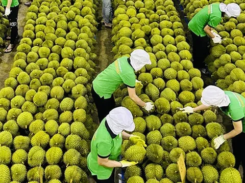 4 mặt hàng nông sản Việt Nam được thế giới ưa chuộng