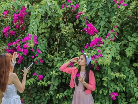 Bán đảo Sơn Trà - địa điểm 'chữa lành' cực hot với giới trẻ