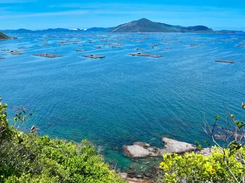 Phát hiện hòn đảo được ví như "kiệt tác thiên nhiên" ở Phú Yên, du khách không cần tàu mà có thể đi bộ ra