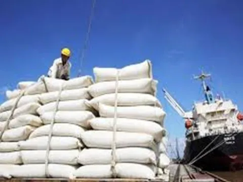 Giá nông sản hôm nay 20/5: Cà phê thế giới, gạo xuất khẩu đồng loạt tăng, cao su giảm