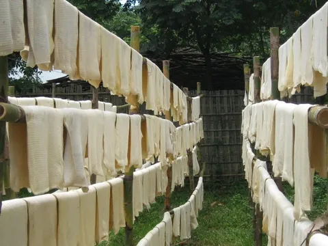 Loại cây 'đổi đời' cho người Việt được nhiều ông lớn săn đón với giá đắt đỏ: Indonesia tăng nhập khẩu hơn 200%, Việt Nam thuộc top 3 thế giới về sản lượng