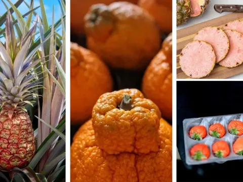 Trào lưu hoa quả thượng lưu siêu đắt đỏ xuất hiện tại Mỹ