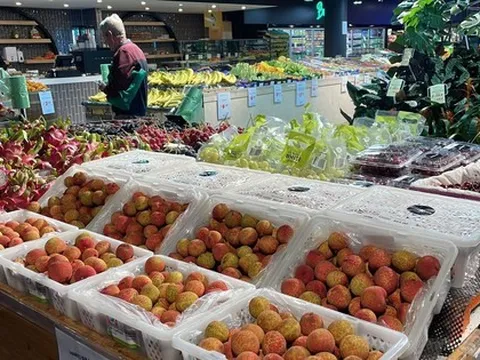 Vải thiều Thanh Hà bán gần 600.000 đồng/kg ở siêu thị Úc