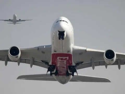 Máy bay hỏng nặng, 39 con chim bị chết sau vụ đâm va nghiêm trọng