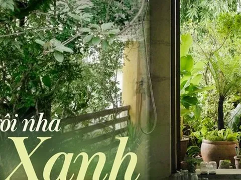 Ngôi nhà được bao quanh bởi 3 khu vườn xanh mát, nắng nóng đến mấy cũng không cần bật điều hòa