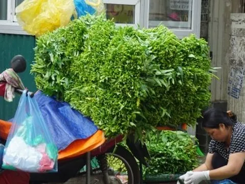 Giá thực phẩm tăng cao, người tiêu dùng “bấm bụng” chi tiêu