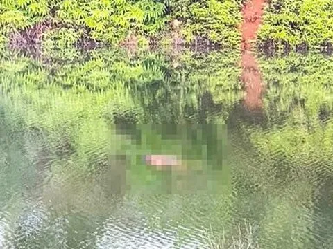 Lâm Đồng: Phát hiện thi thể cô gái 18 tuổi trên hồ sau 4 ngày mất tích