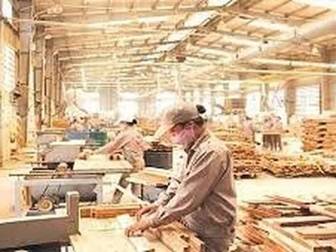 Tăng trưởng tích cực từ xuất khẩu gỗ và những kỳ vọng