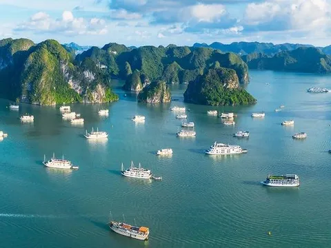 Vịnh Hạ Long là một trong những điểm đến đẹp nhất thế giới