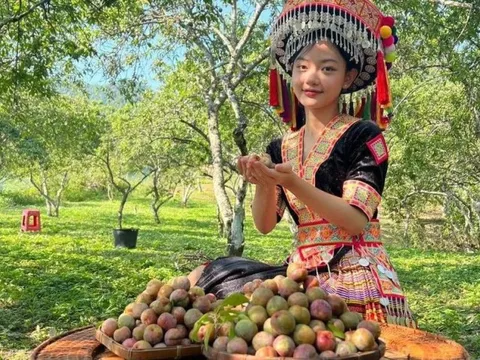 Phát huy nội lực của đồng bào dân tộc thiểu số để giảm nghèo bền vững (1)