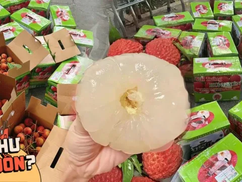 "Rón rén" ăn thử vải trứng khổng lồ giá 1 triệu đồng/thùng, hương vị liệu có ngon "vượt trội" như lời đồn?