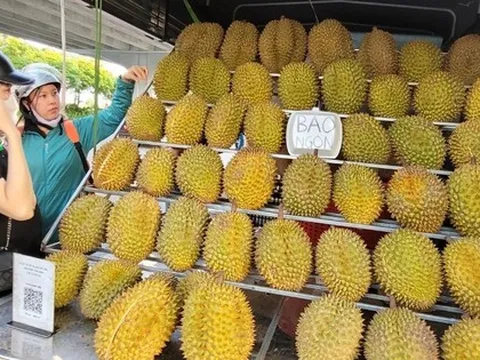 Bất ngờ với giá sầu riêng giảm sốc ở Hà Nội 70 ngàn/kg