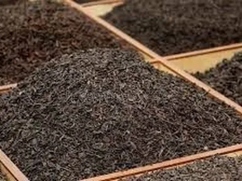 "Vàng xanh" của Việt Nam liên tục được Trung Quốc liên tục gom hàng với giá rẻ kỷ lục, thu về hàng triệu USD trong 4 tháng đầu năm