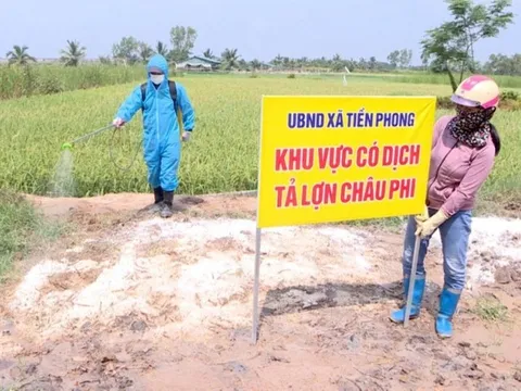 Quảng Ninh: Dịch tả lợn châu Phi lây lan tại 4 địa phương