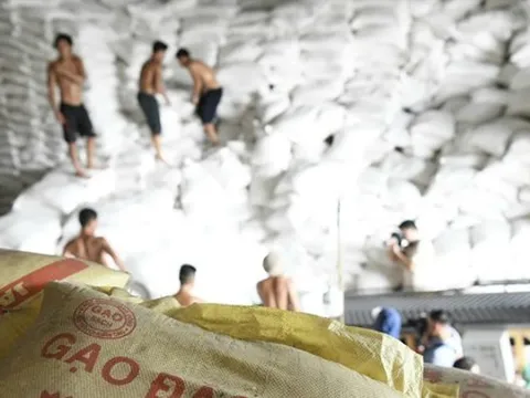 Giá gạo tăng cao, dự báo xuất khẩu lập kỷ lục