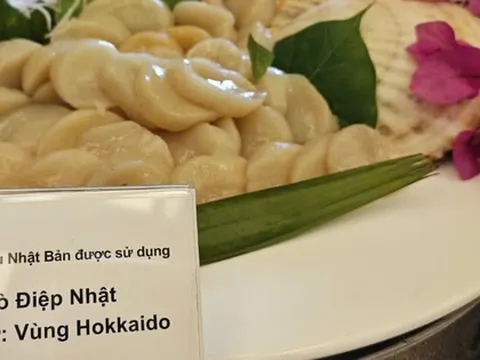 Sò điệp Nhật Bản giảm giá 50%, doanh nghiệp Việt Nam đua nhau nhập khẩu