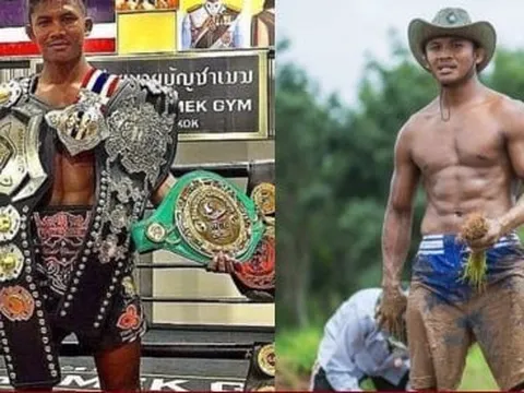 Thánh Muay Thái Lan giàu có nhưng thích lội bùn trồng lúa như nông dân