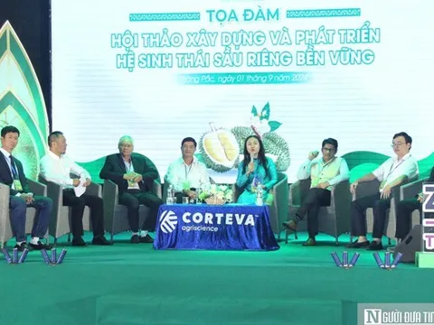 Đề ra giải pháp giúp ngành sầu riêng phát triển bền vững