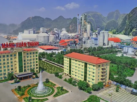 Xi măng Xuân Thành lãi chưa tới 8 tỷ đồng, "gánh" nợ hơn 15.000 tỷ đồng