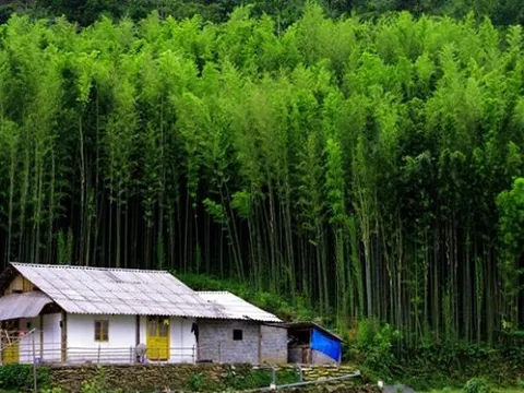 Phát hiện nơi cảnh như trong phim ở vùng núi phía Bắc, du khách nhận xét không phải ai cũng tới được