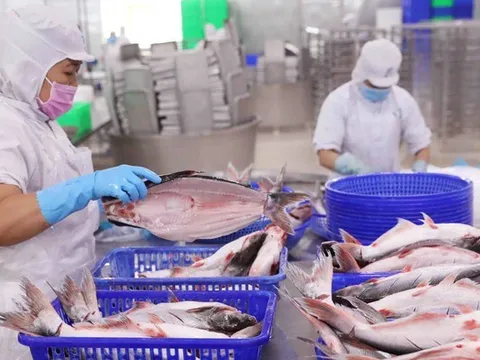 Kinh doanh khởi sắc, Vĩnh Hoàn vẫn “đau đầu" vì chứng khoán