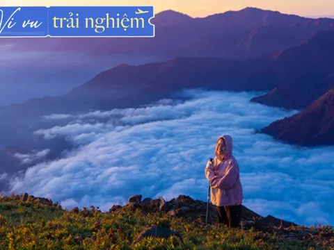 Phát hiện thêm một ‘‘thiên đường mây’’ thơ mộng chẳng kém Tà Xùa: Cách Hà Nội 4 tiếng đi xe, có loài hoa đặc trưng mỗi năm chỉ nở một lần