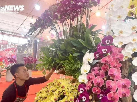 Kiếm hàng trăm triệu đồng/tháng - nghề hốt bạc dịp Tết mỗi năm chỉ có 1 lần