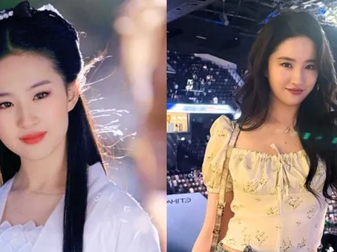 Điều Lưu Diệc Phi chưa bao giờ làm suốt 23 năm nổi tiếng