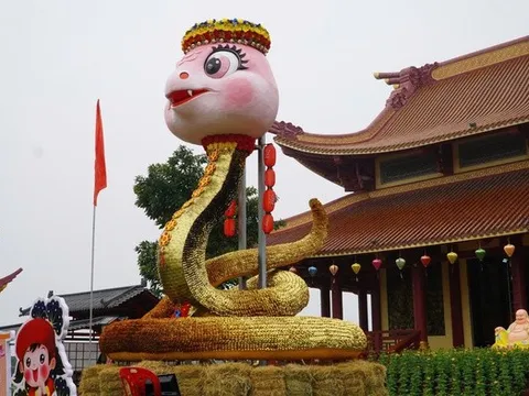 Hàng nghìn người kéo về chiêm ngưỡng linh vật rắn mặc "áo giáp vàng"