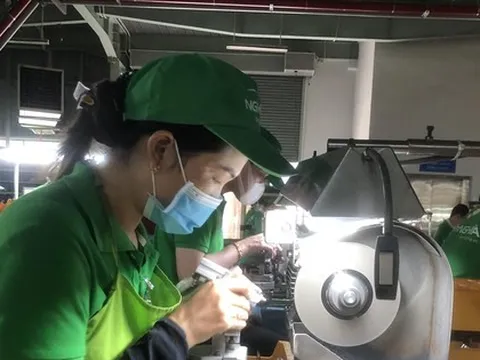 Doanh nghiệp xuất khẩu ứng biến