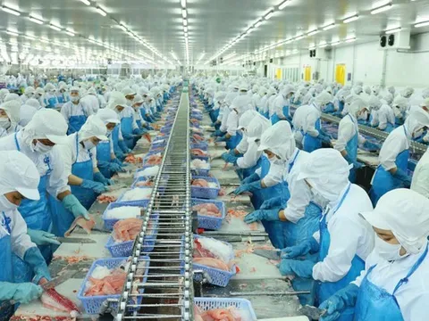 Vĩnh Hoàn thế chấp bất động sản để vay hơn 2.000 tỷ đồng