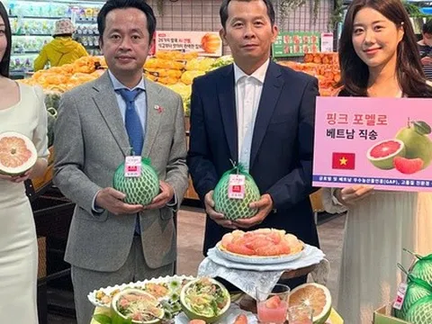 Bất ngờ giá bưởi Việt Nam bán trên kệ siêu thị Hàn Quốc