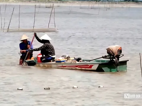 "Cần câu cơm" của nông dân miền Tây trên cánh đồng nước trắng