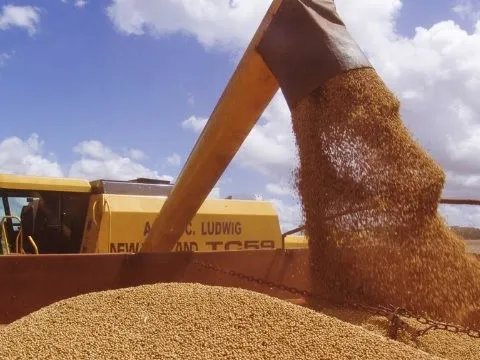 Trung Quốc dừng nhập khẩu đậu tương, nông dân Mỹ vẫn trúng lớn do ồ ạt trồng loại nông sản thay thế: Đã ký hợp đồng xuất khẩu 20 triệu tấn, nhu cầu tăng mạnh tại Đông Nam Á